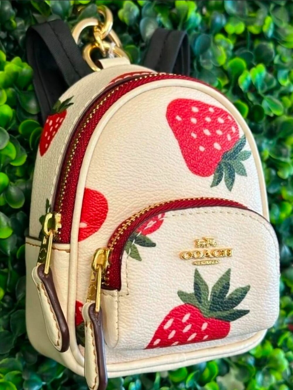Coach wild strawberry court backpack charm NWOT